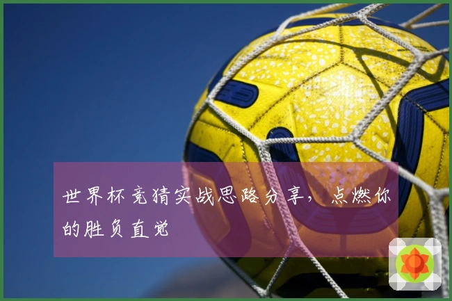 世界杯竞猜实战思路分享，点燃你的胜负直觉