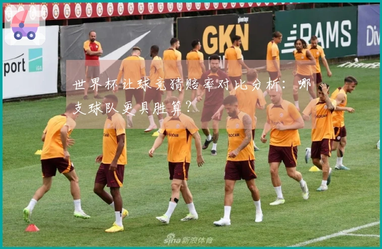 世界杯让球竞猜赔率对比分析：哪支球队更具胜算？