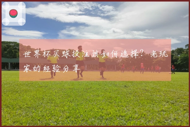 世界杯买球投注该如何选择？老玩家的经验分享