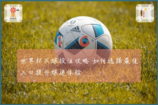 世界杯买球投注攻略 如何选择最佳入口提升球迷体验